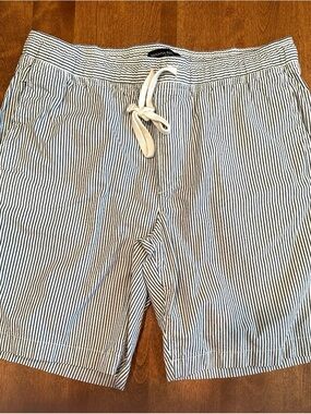 Banana Republic Navy and White Pinstriped Deck Shorts